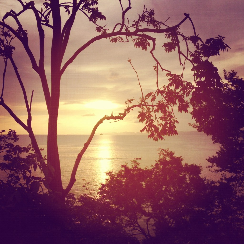 erdbeerwald_thai_sunset
